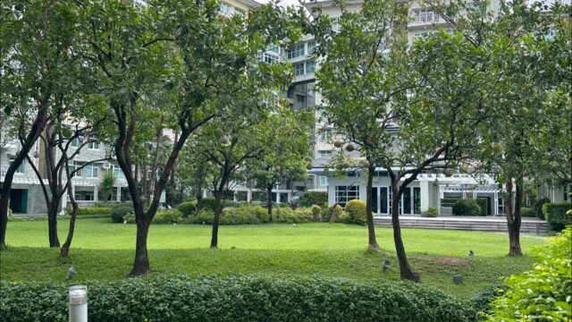 356091844 7064105376936868 6299614775714374246 n