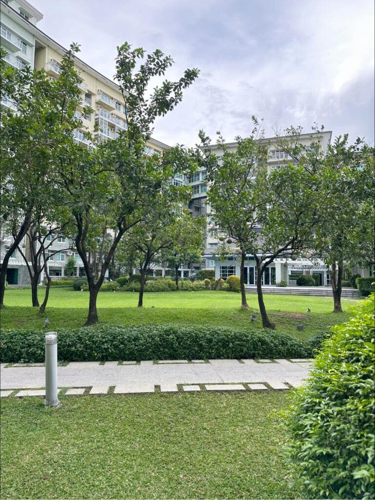 356091844 7064105376936868 6299614775714374246 n