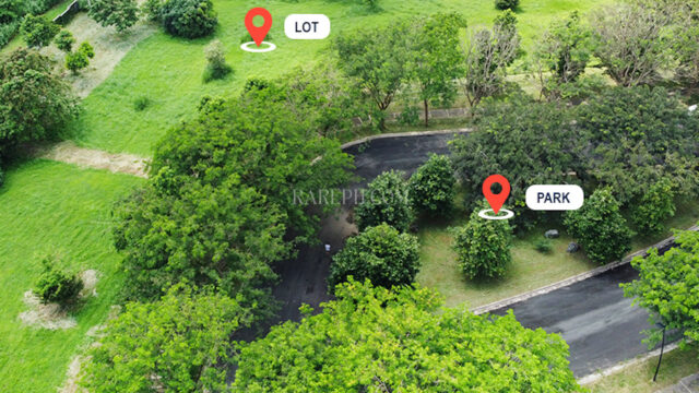 aerial view of the park