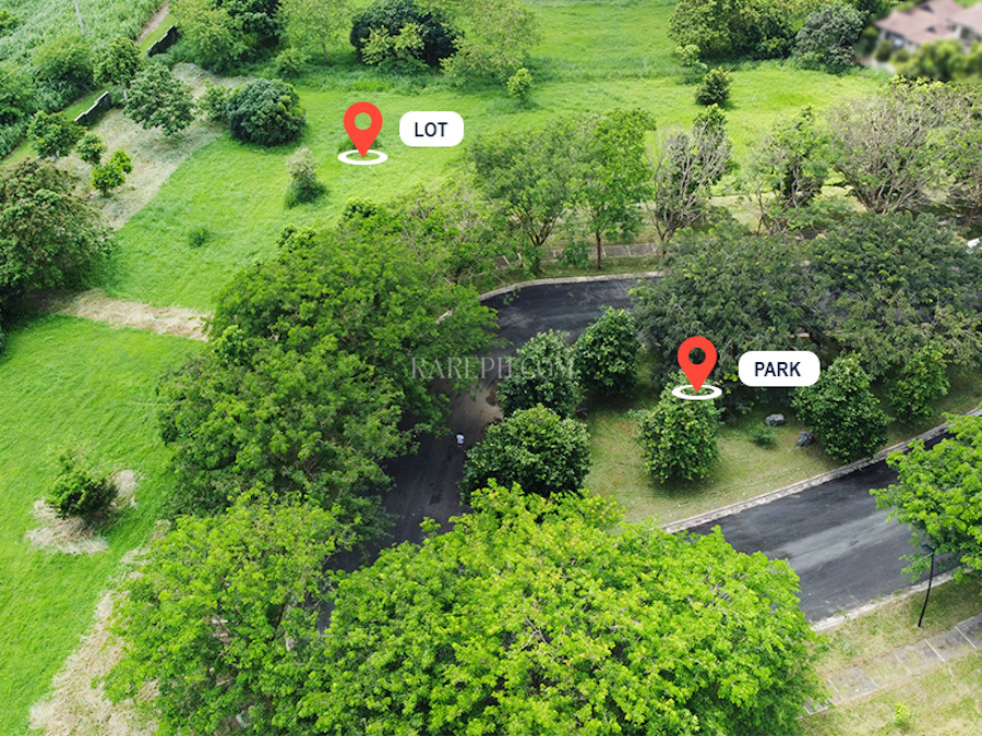 aerial view of the park