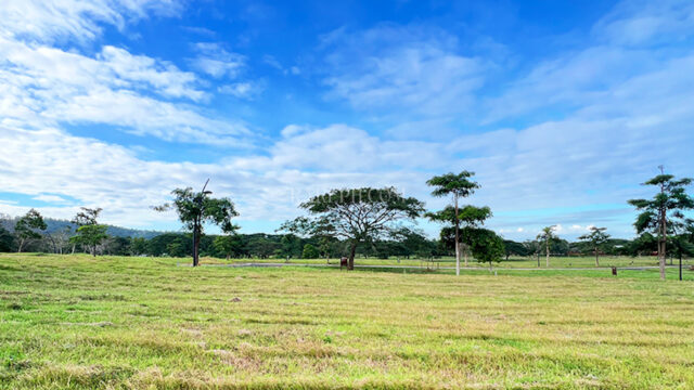 soliento nuvali lot for sale edge of the lot