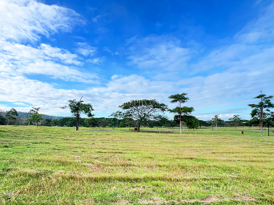 soliento nuvali lot for sale edge of the lot