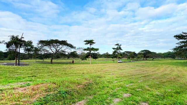 soliento nuvali lot for sale lot side