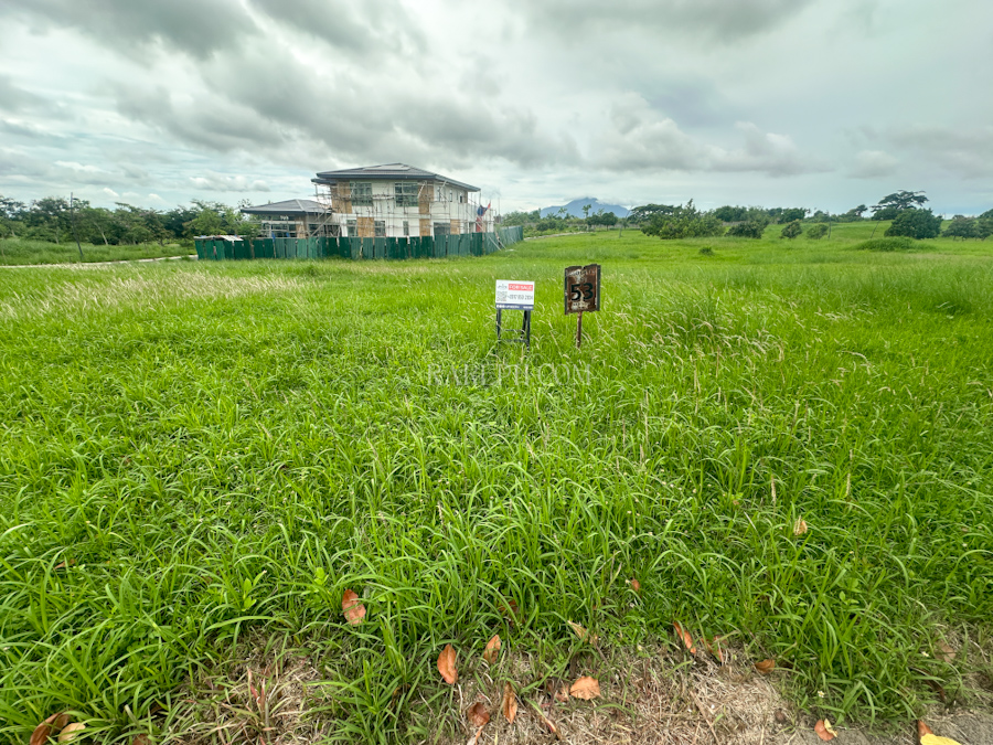 riomonte lot for sale near the main park front