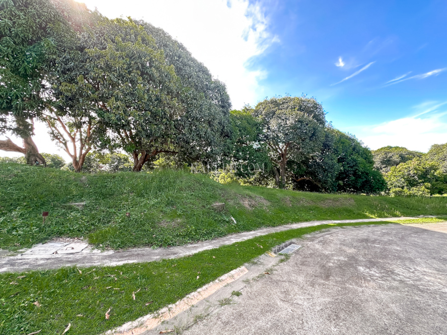 ayala westrgrove heights phase1 rare lot frontage