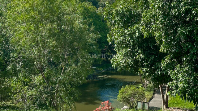 Single Category ayala westrgrove heights phase1 rare lot lagoon views
