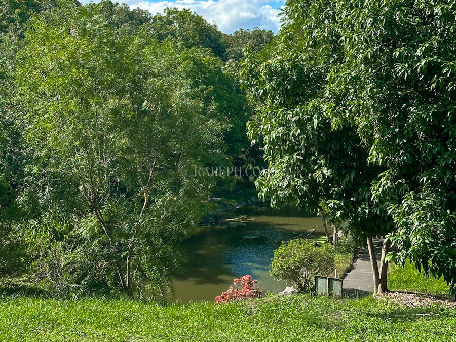 ayala westrgrove heights phase1 rare lot lagoon views