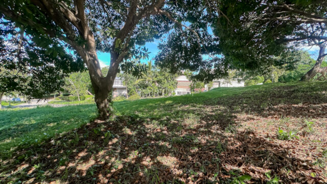 Single Category ayala westrgrove heights phase1 rare lot top