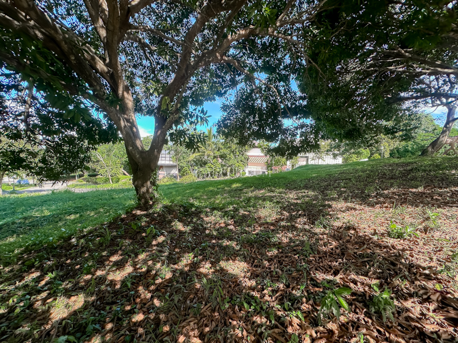 ayala westrgrove heights phase1 rare lot top