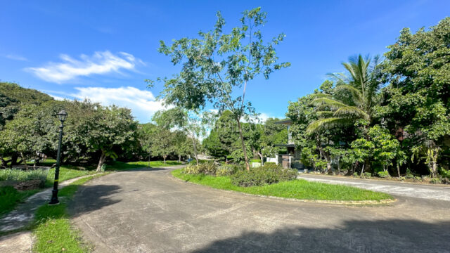Single Category ayala westrgrove heights phase1 rare lot views