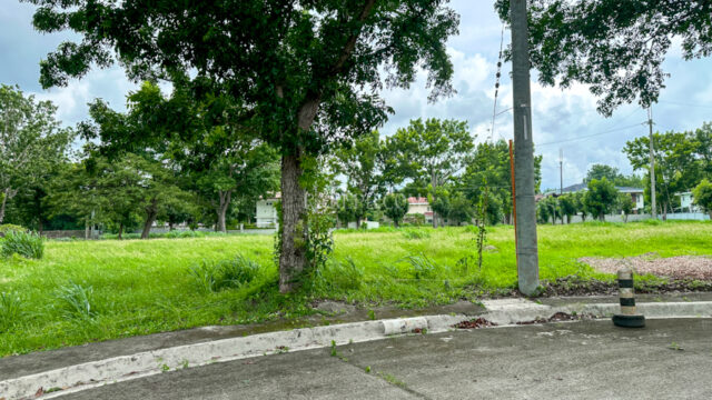 Single Category manila southwoods residential estates lot in phase 2