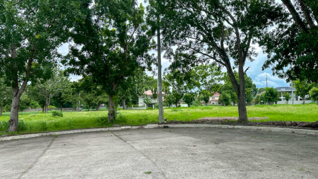 Single Category manila southwoods residential estates lot in phase 2 culdesac lot