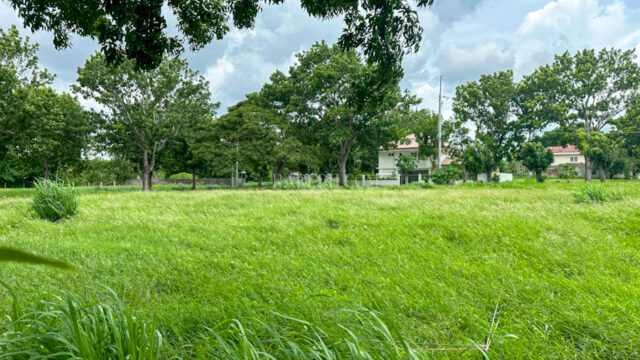 Single Category manila southwoods residential estates lot in phase 2 empty lot
