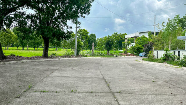 Single Category manila southwoods residential estates lot in phase 2 vacant residential lot