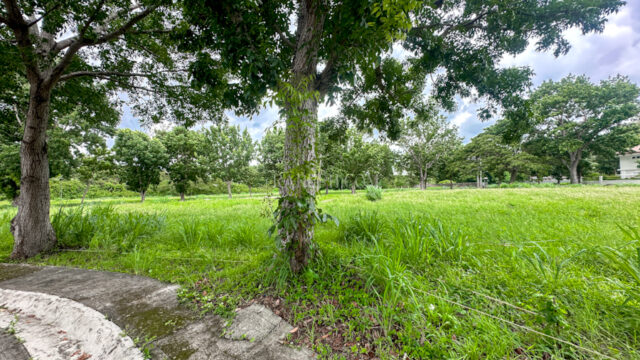 Single Category manila southwoods residential estates lot in phase 2 low density village