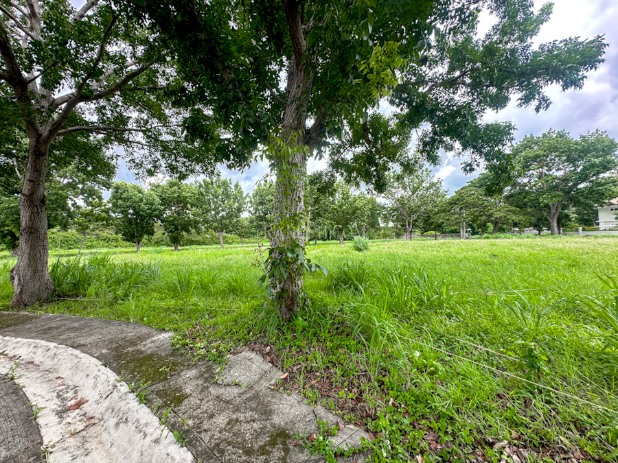 manila southwoods residential estates lot in phase 2 low density village