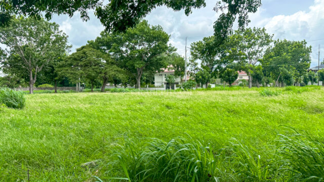 Single Category manila southwoods residential estates lot in phase 2 near gate 4