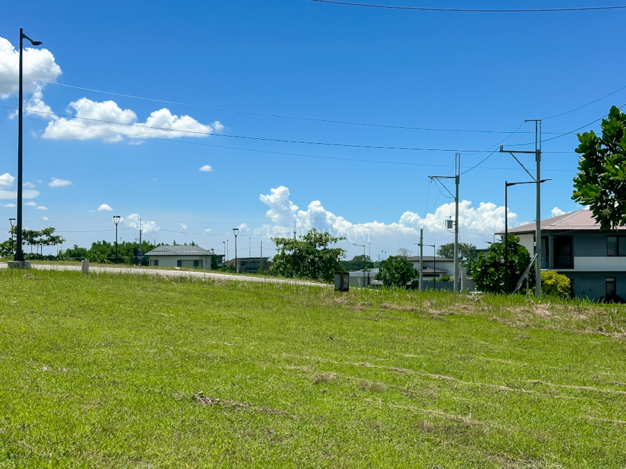 mondia nuvali lot b45 back