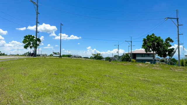 Single Category mondia nuvali lot b45 back to front