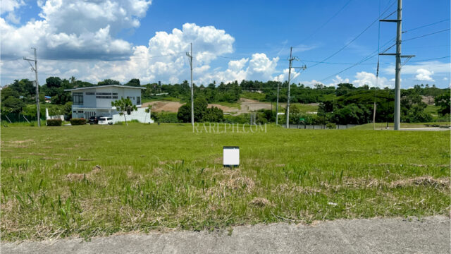 Single Category mondia nuvali lot b45 front