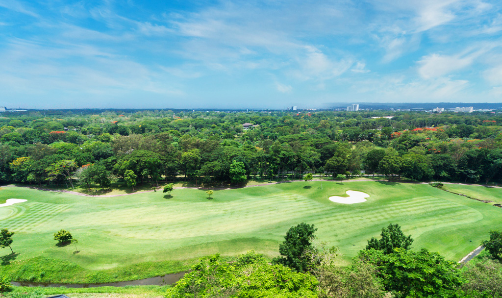 Metro South Where to Live: A Neighborhood Guide golf course aerial view (1)