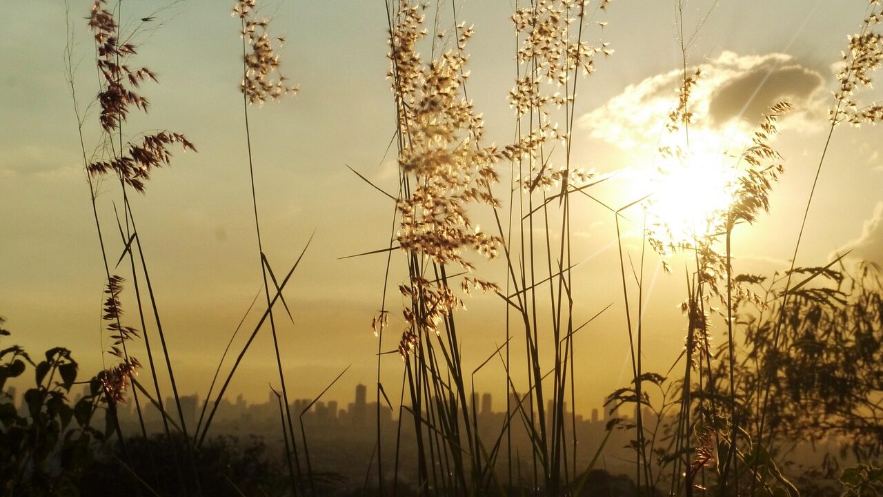 Metro South Where to Live: A Neighborhood Guide manila, nature, skyline, sunset, philippines