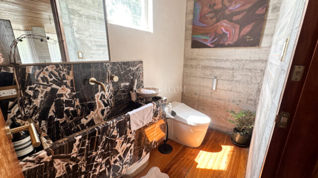 venare nuvali laguna corner house for sale powder room