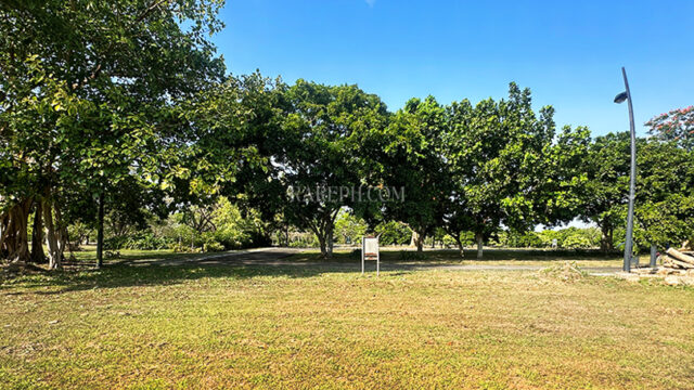 luscara nuvali lot for sale beside park edge of lot