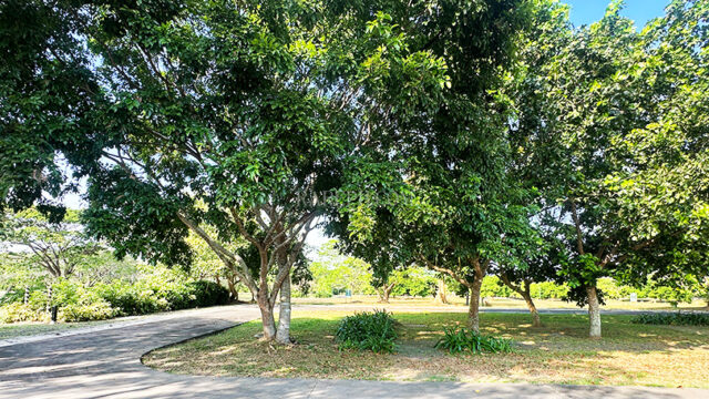 luscara nuvali lot for sale beside park lot courtyard 2