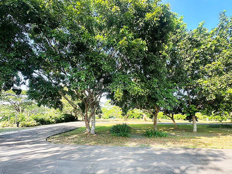 luscara nuvali lot for sale beside park lot courtyard 2