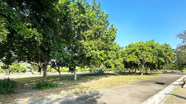 luscara nuvali lot for sale beside park lot courtyard 3 1