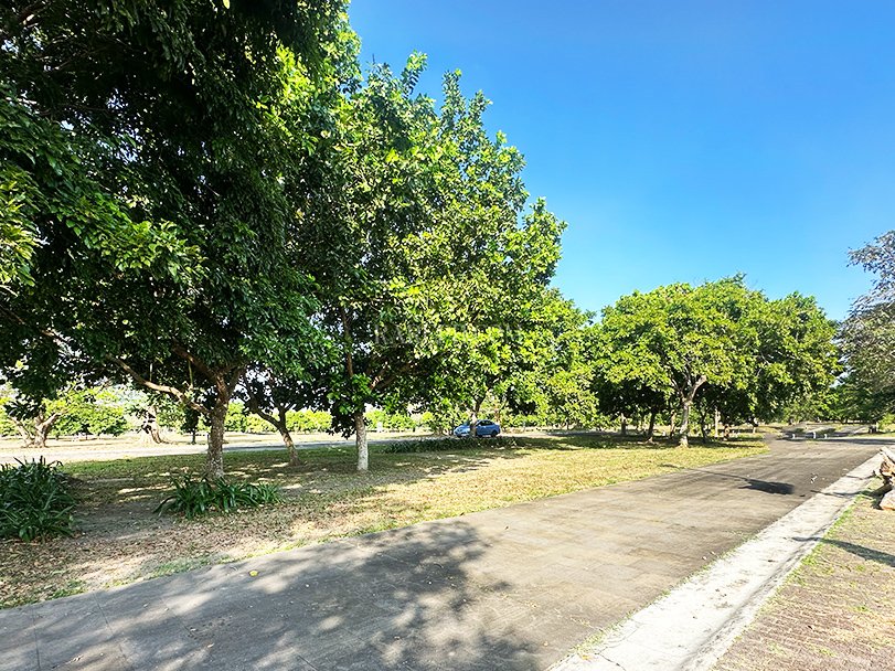 luscara nuvali lot for sale beside park lot courtyard 3 1