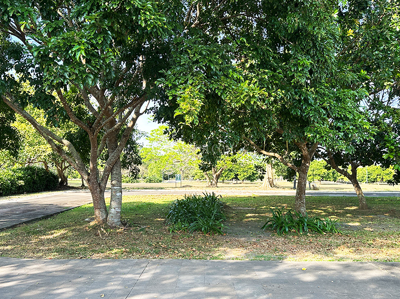 luscara nuvali lot for sale beside park lot courtyard