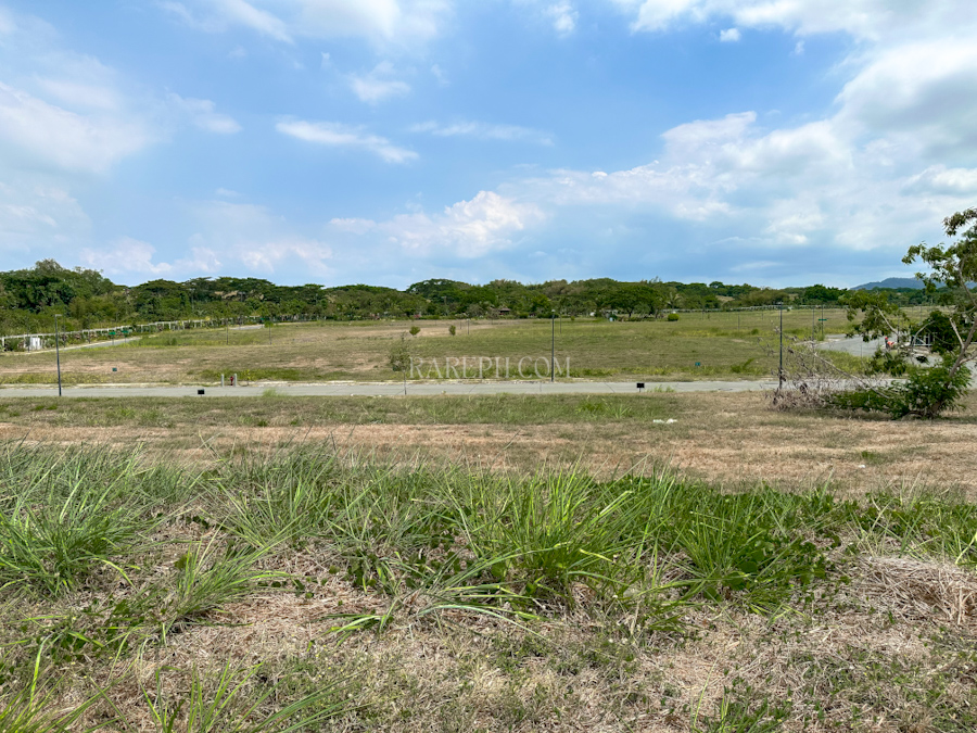 On Living Well: A Guide to Rockwell South at Carmelray Laguna rockwell south at carmelray rockwell land living in laguna lots for sale